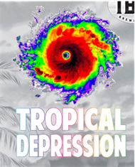 TAMPA BAY TROPICAL DEPRESSION