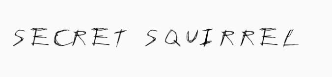 SECRET SQUIRREL logo