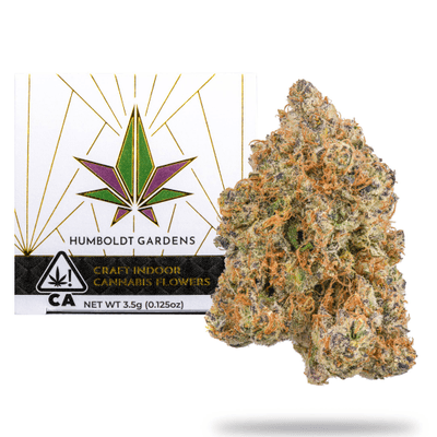 Humboldt Gardens Indoor Flower 3.5g Hybrid Sunset Sorbet