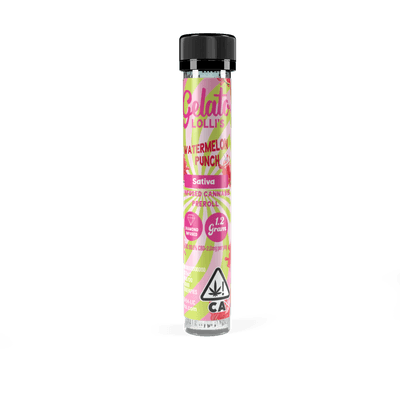 Gelato Lolli's Single Infused Preroll 1.2g Sativa Watermelon Punch 12pk