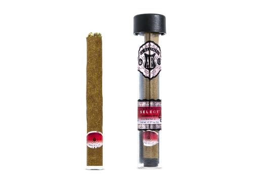 A photograph of AE ROSE GOLD El Blunto x Papa's Select - Hash Infused Sativa Strawberry GMO 2g