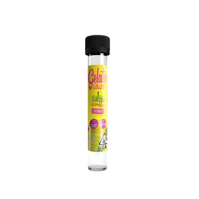 Gelato Lolli's Single Infused Preroll 1.2g Hybrid Pineapple Express 12pk