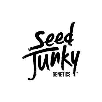 A photograph of Seed Junky Preroll 1g Joint Magic Marker (I) - 24ct