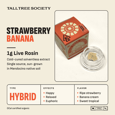 Tall Tree Society Rosin 1g Strawberry Banana