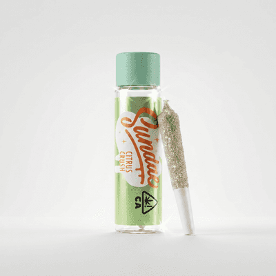 Sundae Infused Preroll 0.5g Sativa Citrus Crush