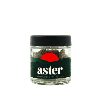 A photograph of Aster 7g Hybrid Gush Mints