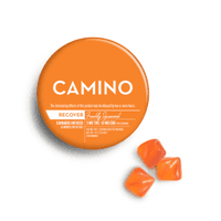 A photograph of Camino Gummies Freshly Squeezed CBG 1:2