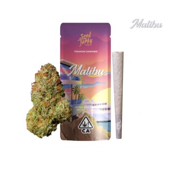 A photograph of Seed Junky Preroll 1g Joint Malibu (H) - 24ct