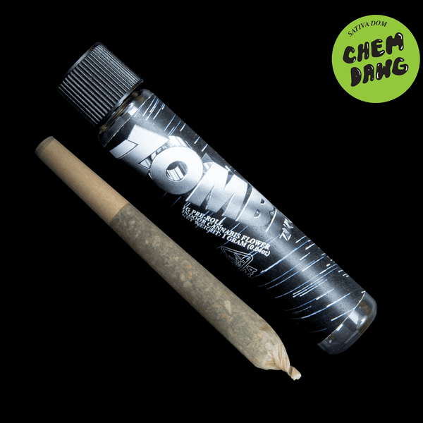 A photograph of Zombi Preroll 1g Sativa Chem Dawg 32ct