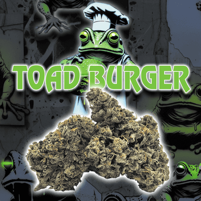 Green Dragon Flower 3.5g Hybrid Toad Burger