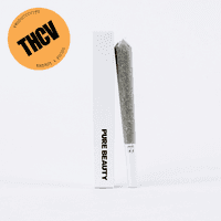 A photograph of Pure Beauty Preroll 1g Sativa GSD