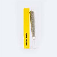 A photograph of Pure Beauty Preroll 1g Sativa Lemon Head