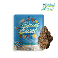 A photograph of Seed Junky Flower 3.5g Sativa Tropical Burst 16ct