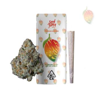 A photograph of Seed Junky Preroll 1g Joint Mango Fruz (I) - 24ct
