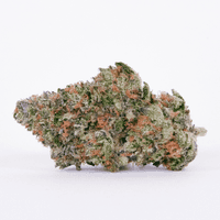 A photograph of Pure Beauty Flower 3.5g Hybrid Winterberry Kush