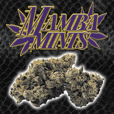 Green Dragon Flower 3.5g Indica Mamba Mints