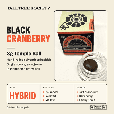 Tall Tree Society Temple Ball 3g Hybrid Black Cranberry