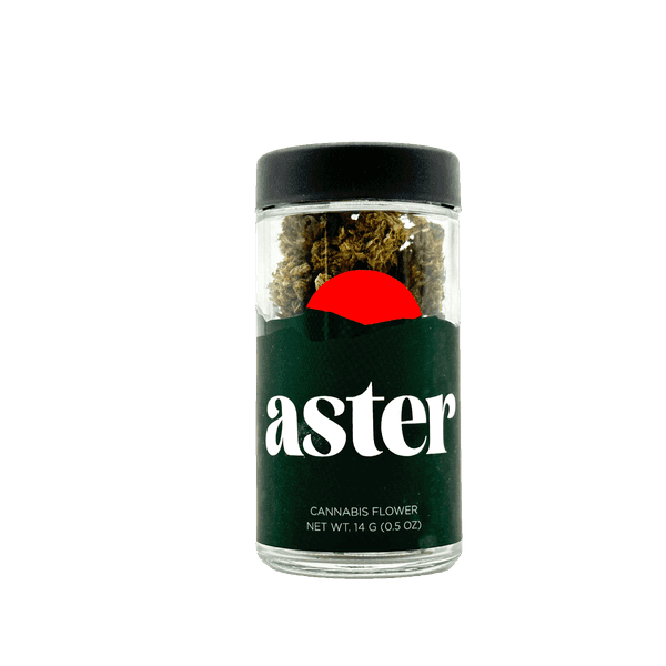 A photograph of Aster Flower 14g Smalls Hybrid Peach Panther