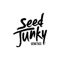 A photograph of Seed Junky Smalls Flower 14g Sativa Pineapple Fruz