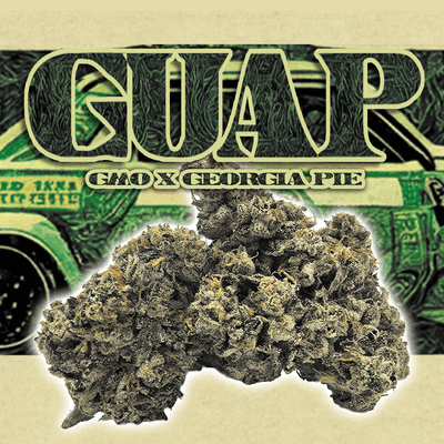 Green Dragon Flower 3.5g Hybrid Gaup