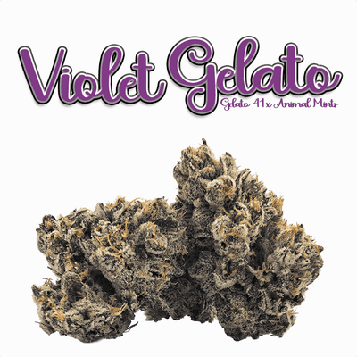 Green Dragon Smalls Flower 14g Hybrid Violet Gelato