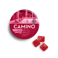 A photograph of Trial Packs Camino Gummies Wild Cherry CBC CBG 5:5:5