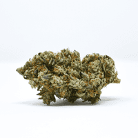 A photograph of Pure Beauty Flower 3.5g Sativa Koko