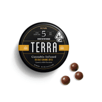 A photograph of Terra Bites Milk Chocolate Sea Salt Caramel