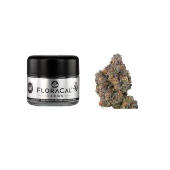 A photograph of FloraCal Flower 3.5g Indica RS54