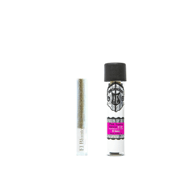 El Blunto Diamond Jointo 1g Sativa Pink Legacy 16ct